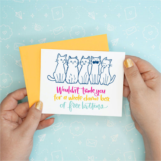 Box of Free Kittens Greeting Card