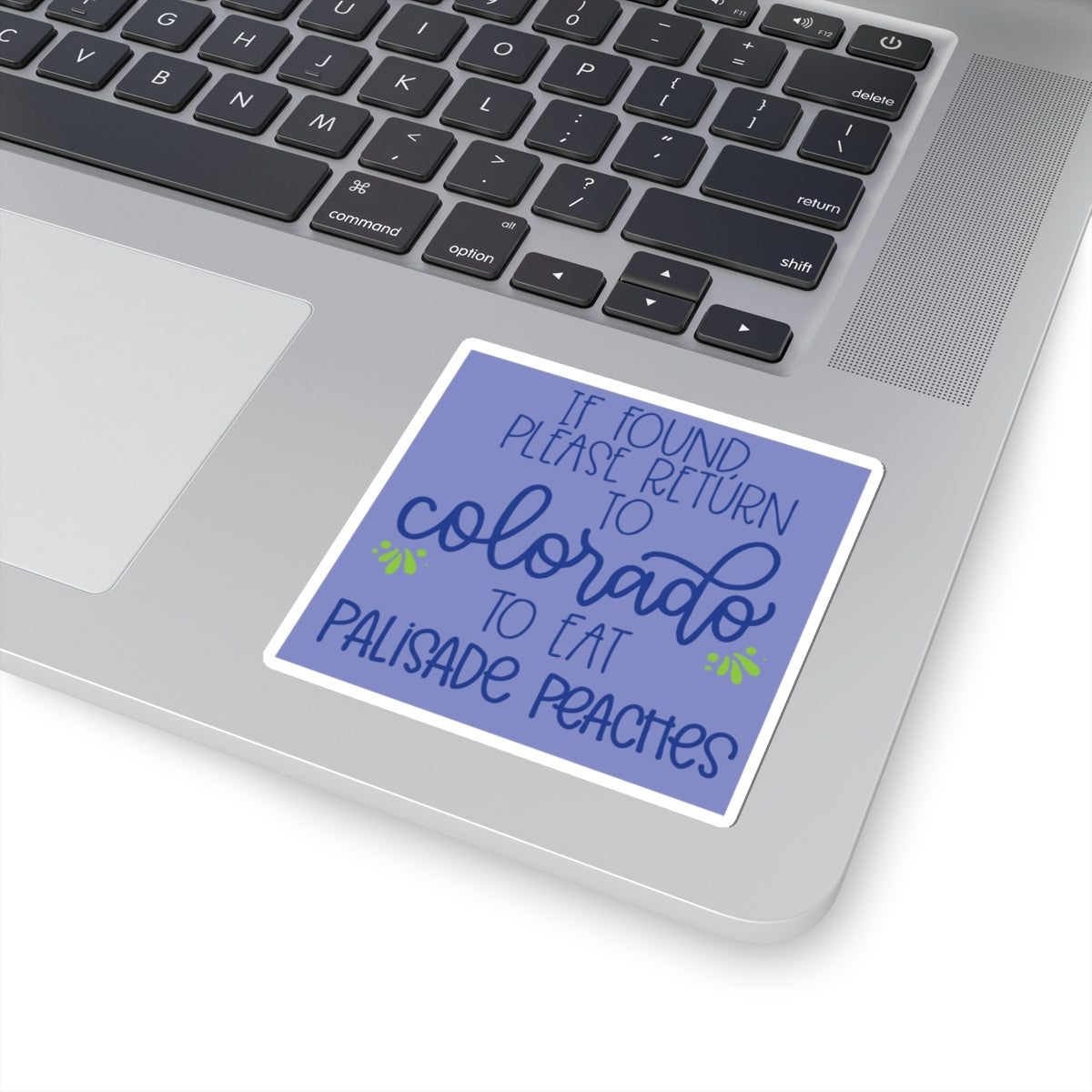 Colorado Palisade Peaches Sticker